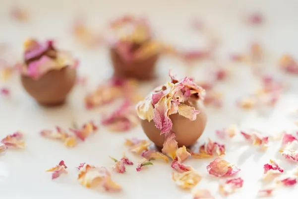 Bet24star Casino Aip Android/iOS